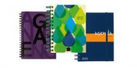 AGENDA MINI INST.