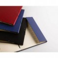 CARPETA CLASIFICADORA Fº COLORES GOMAS